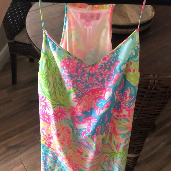 Lilly Pulitzer dress - Picture 4 of 4